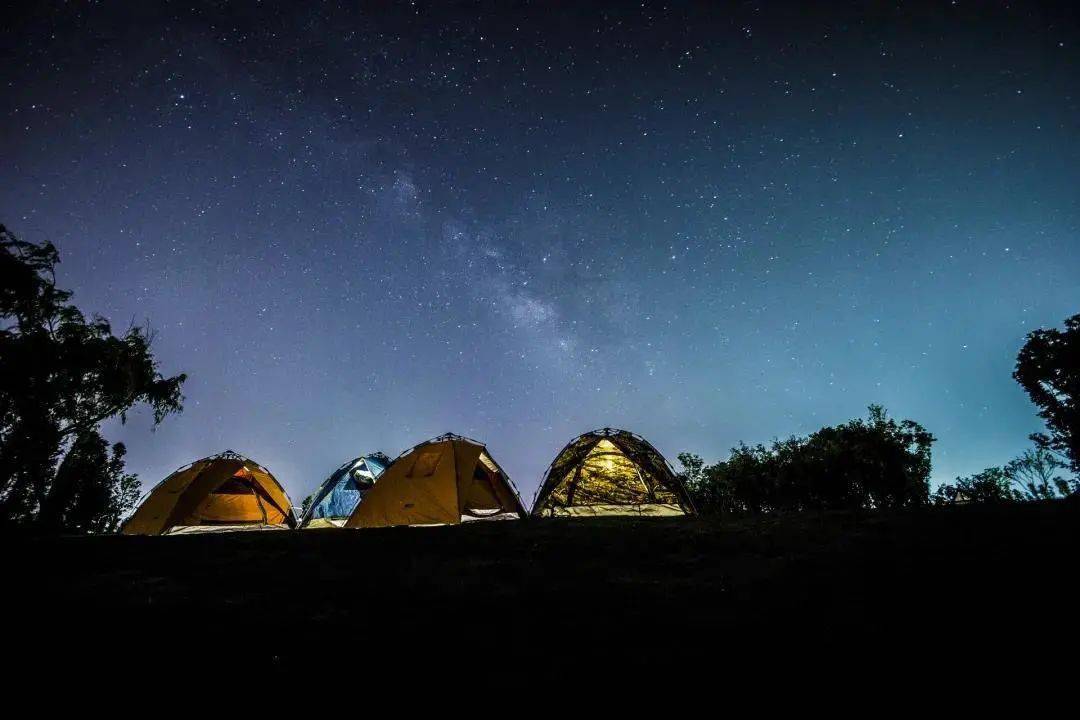 上海最新疫情通报会议，探索自然之旅，寻求内心宁静与平和的新篇章