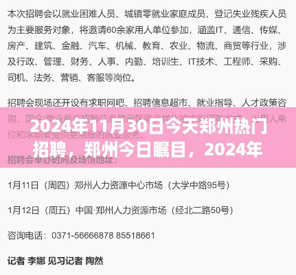 郑州今日瞩目，回顾2024年11月30日热门招聘盛况