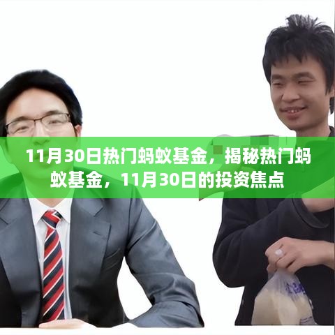 揭秘热门蚂蚁基金，11月30日的投资焦点分析