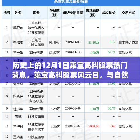 历史上的12月1日莱宝高科股票热门消息，莱宝高科股票风云日，与自然美景的奇妙邂逅，心灵旅行的启程时刻