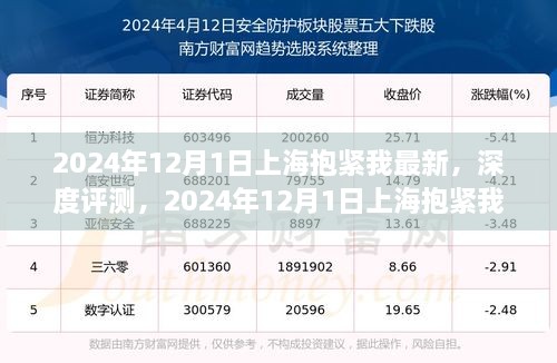 2024年12月1日上海抱紧我产品深度评测与全面解析