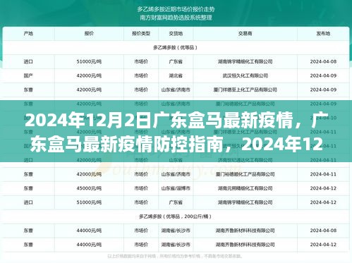 广东盒马最新疫情防控指南，必备步骤与注意事项（2024年12月2日更新）