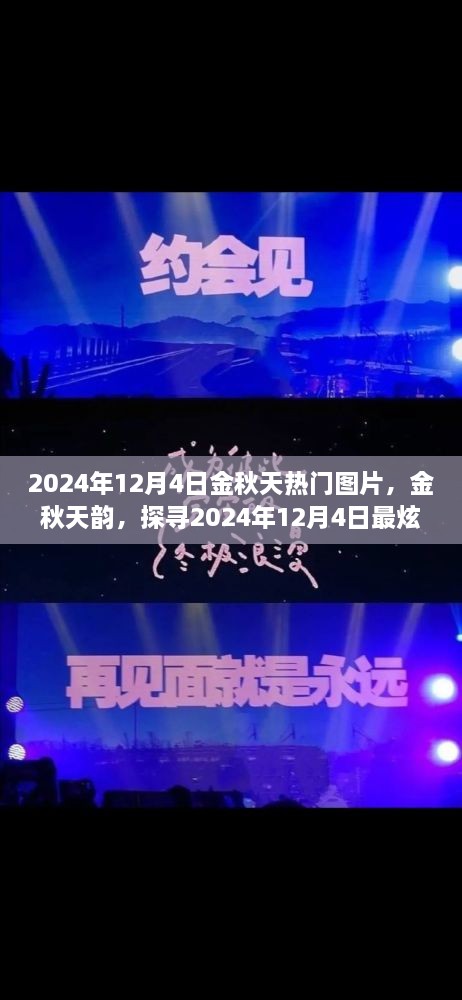 探寻金秋韵味，2024年12月4日热门图片精选