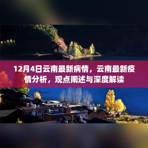 云南疫情最新动态，深度解读与分析报告（12月4日更新）