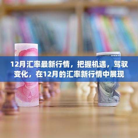 12月汇率最新行情，驾驭变化，展现自信与成就