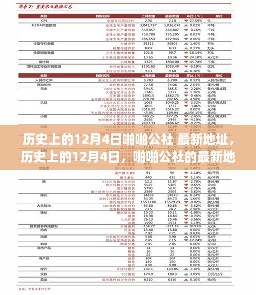 历史上的12月4日，啪啪公社的最新地址及其背后的故事揭秘（科普文章）