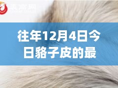 12月4日貉子皮最新价格及历年趋势解析，市场动态一览