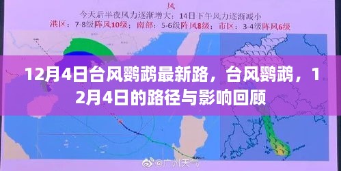 台风鹦鹉最新路径与影响回顾，12月4日回顾报告