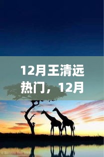 追寻自然之旅，王清远在十二月的脚步与心灵之旅