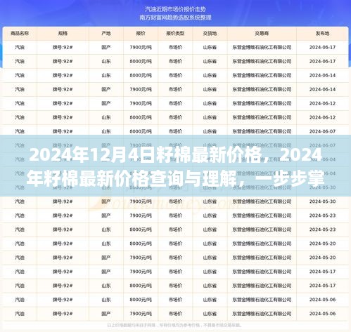 2024年12月4日籽棉最新价格，2024年籽棉最新价格查询与理解，一步步掌握行情分析技能