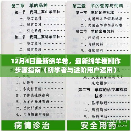 最新绵羊卷制作指南，从初学者到进阶用户的步骤教程（12月4日更新）