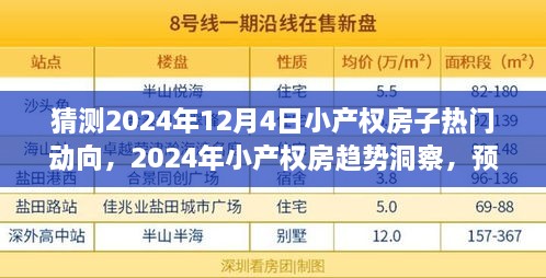 2024年小产权房趋势洞察与行动指南，未来走向预测及热门动向探讨