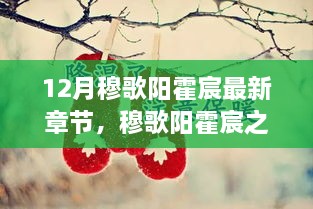 穆歌阳霍宸之十二月，家的羁绊与温馨日常的歌声中