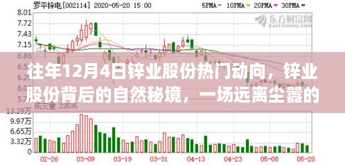 锌业股份背后的自然秘境，一场远离尘嚣的心灵之旅揭秘往年12月4日热门动向