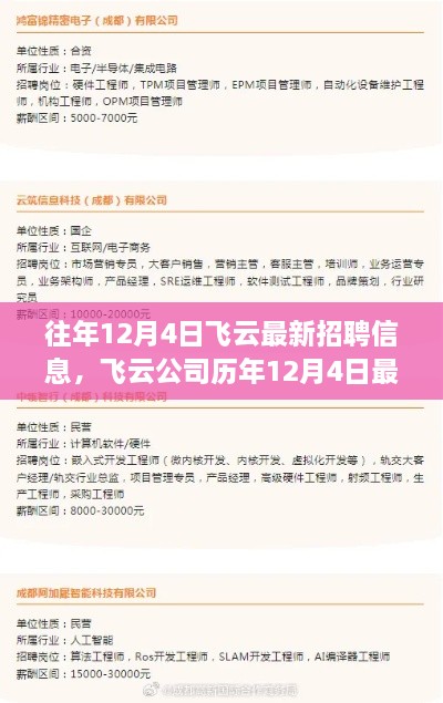 飞云公司历年12月4日最新招聘信息深度解析与解读