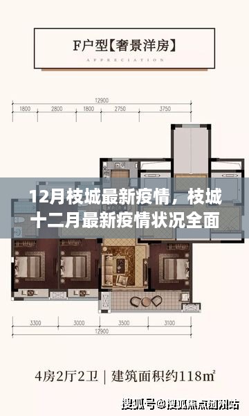 枝城最新疫情状况全面评测分析（十二月版）