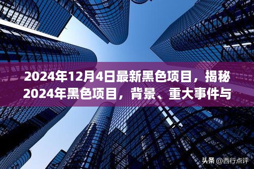 揭秘，2024年黑色项目的背景、重大事件与深远影响全解析