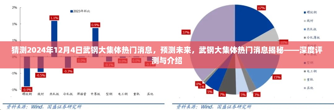 揭秘武钢大集体未来热门消息，深度评测与预测报告（2024年12月4日版）