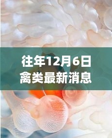 2024年12月6日 第4页