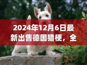 最新德国猎梗犬全面评测与出售信息，特性、竞品对比及目标用户分析（2024年最新版）