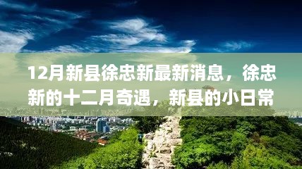 新县徐忠新十二月奇遇，日常温情与惊喜时刻