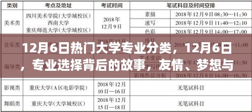 专业背后的故事，友情、梦想与家的纽带——12月6日热门大学专业分类探索