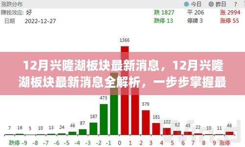 掌握兴隆湖板块最新动态，全面解析十二月最新消息