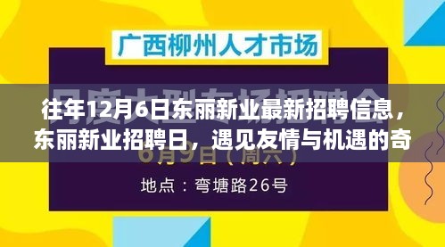 东丽新业招聘日，遇见友情与机遇的奇妙一天，最新招聘信息一网打尽！