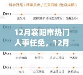 12月襄阳市人事任免动态，深度解析最新人事调整