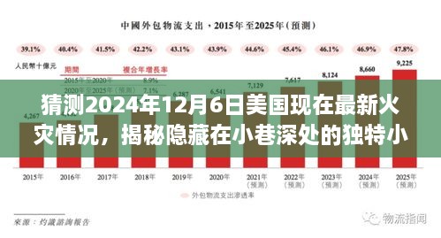 未来火灾揭秘，探寻美国小巷深处的独特小店与预测2024年火灾最新情况探索之旅