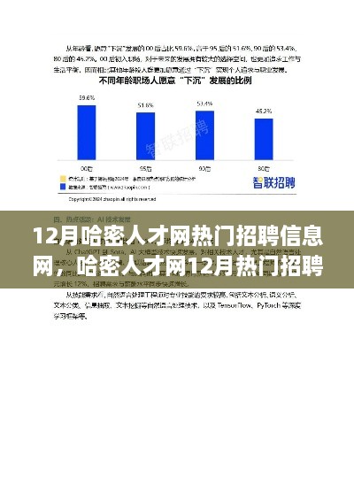 哈密人才网12月热门招聘信息解读，市场新动向与求职策略深度探讨