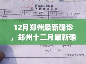 郑州十二月最新确诊事件深度解析，多方观点与个人立场探讨