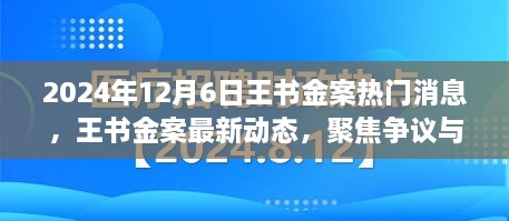 王书金案最新动态与争议焦点解析，聚焦热门消息与各方观点