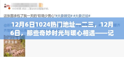 记藏于数字一二三间的温馨日常，12月6日的奇妙时光与暖心相遇