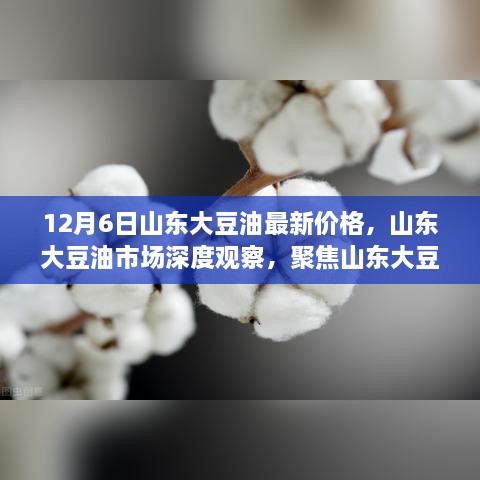 山东大豆油市场深度观察，聚焦最新价格动态（以12月6日为例）