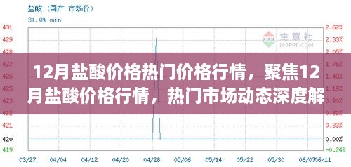 12月盐酸价格行情深度解析，市场动态与热门价格走势聚焦