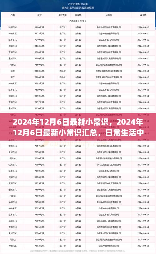 2024年12月6日最新小常识一览，日常生活中的新奇知识汇总