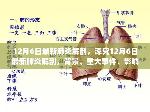 深究最新肺炎解剖，背景、重大事件、影响与时代定位（12月6日最新报告）