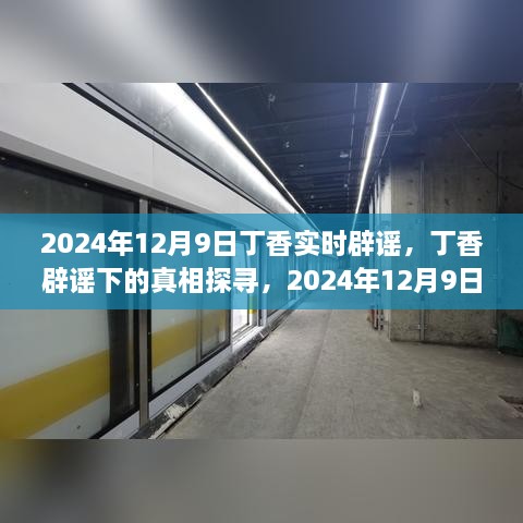 2024年视角下的丁香实时辟谣，探寻真相之旅