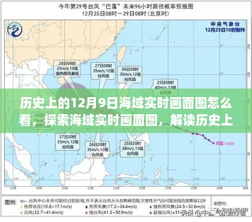 2024年12月10日 第52页