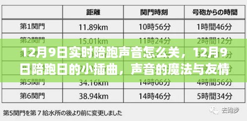 陪跑日声音魔法与友情温暖，实时陪跑声音关闭指南