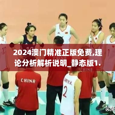 2024澳门精准正版免费,理论分析解析说明_静态版1.219