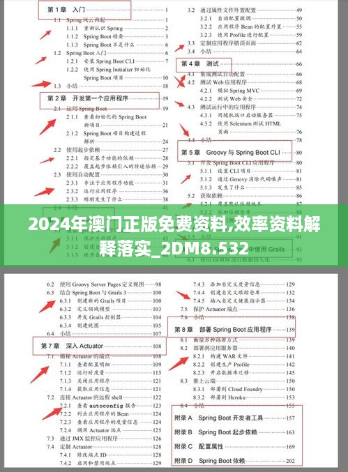 2024年澳门正版免费资料,效率资料解释落实_2DM8.532