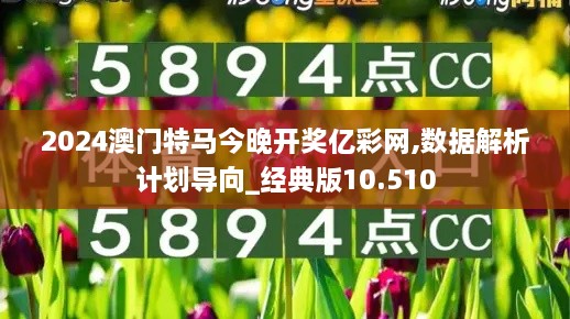 2024澳门特马今晚开奖亿彩网,数据解析计划导向_经典版10.510