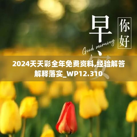 2024天天彩全年免费资料,经验解答解释落实_WP12.310