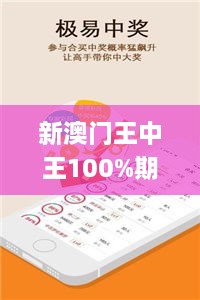 新澳门王中王100%期期中,权威分析说明_OP4.113