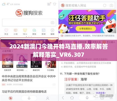 2024新澳门今晚开特马直播,效率解答解释落实_VR6.307