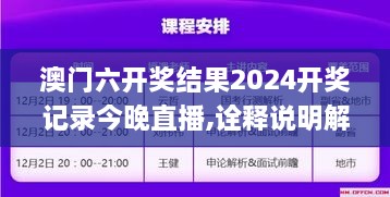 2024年12月10日 第37页