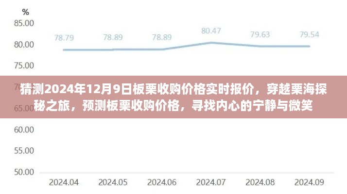 穿越栗海探秘之旅，预测板栗收购价格，探寻内心宁静微笑与未来报价动态（实时更新）