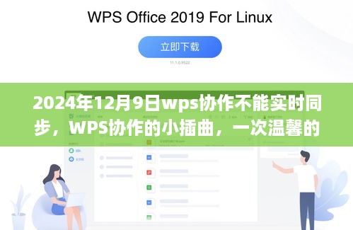 WPS协作遭遇同步问题，一次关于同步的小插曲与温馨经历